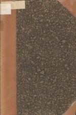 Slægten Blom fra Tønsberg : biografiske meddelelser om Fredrik Blom, sogneprest til Laardal, og hans efterslægt 1612-1905