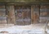 The tree rings that write history