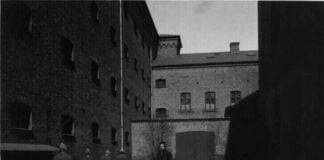 Do you have a criminal Dane in your family tree?