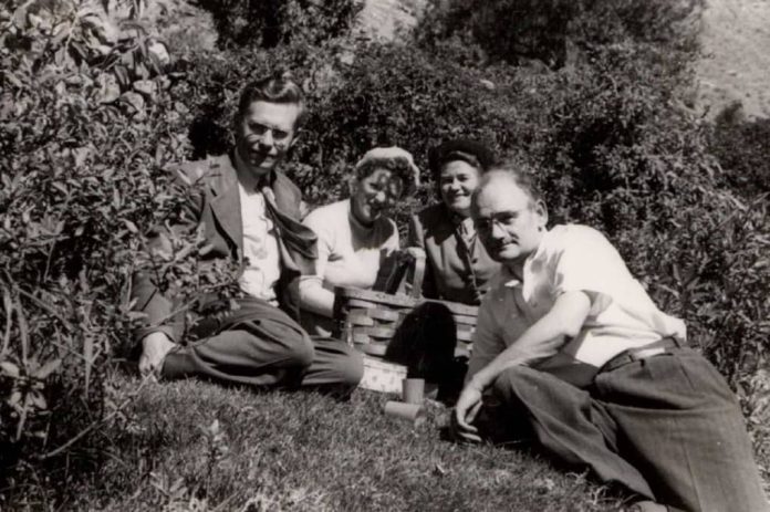1950 dansk folketelling